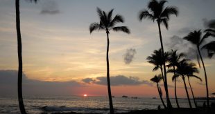 Securely Travel - Hawaii