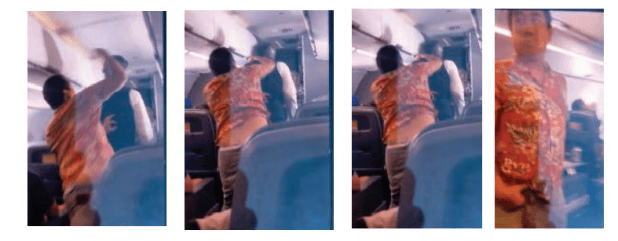 Securely Travel - Violence on flight AA377