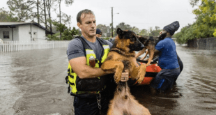 Securely Travel - the helpers