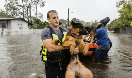 Securely Travel - the helpers