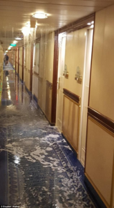 Securely Travel - Sun Princess flood