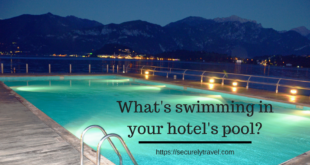 Securely Travel - What's swimming in your hotel's pool