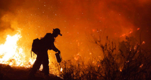 Securely Travel - Wildfire Evac