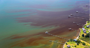 Securely Travel - CDC Red Tide