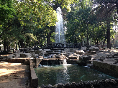 Securely Travel - Mexico City - Parque Mexico