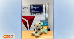 Securely Travel - Teddy
