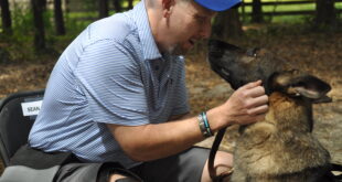 Securely Travel - Guardian Angels Medical Service Dogs